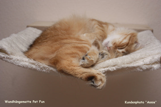 The PetFun wall-mounted cat hammock