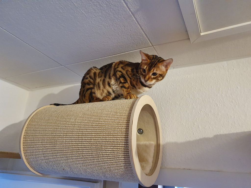 Sisalrolle – mit oder ohne Wandhalterung von PetFun