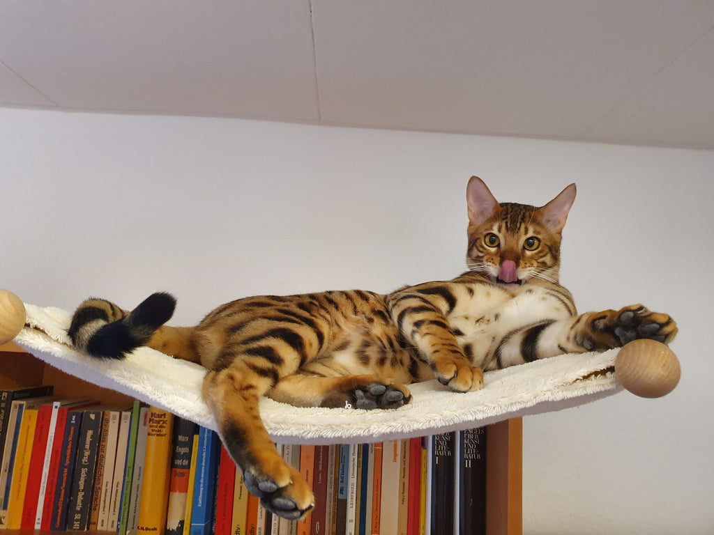 The PetFun wall-mounted cat hammock
