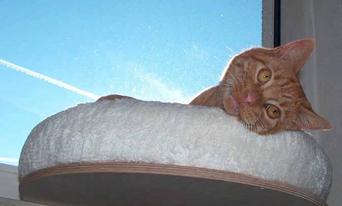 The PetFun window seat lounger