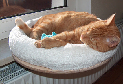 The PetFun window seat lounger