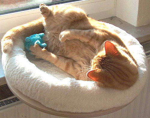 The PetFun window seat lounger