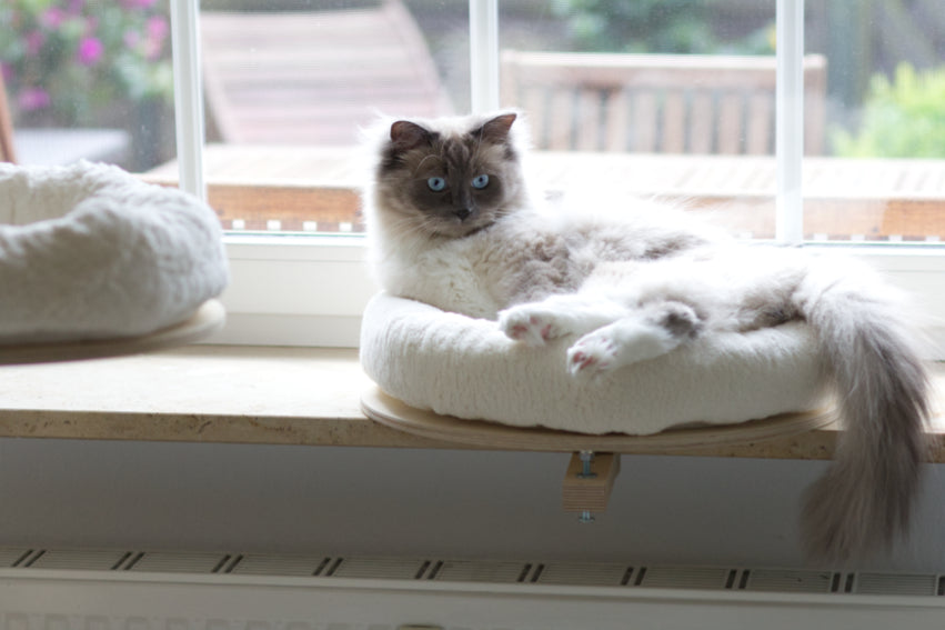 The PetFun window seat lounger