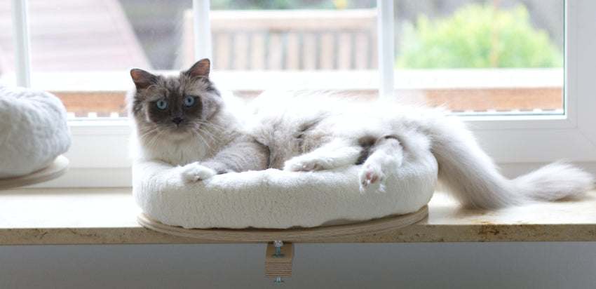 The PetFun window seat lounger