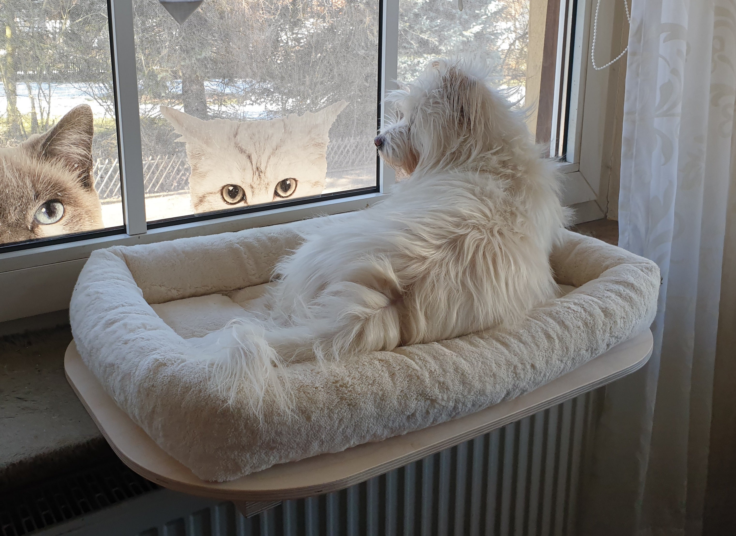 The PetFun window seat lounger
