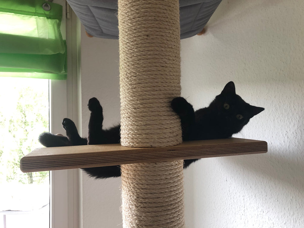 Kratzbaum Inga von PetFun