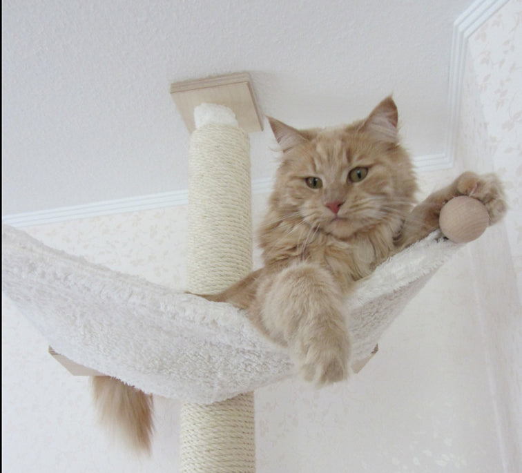 Kratzbaum Marion von PetFun