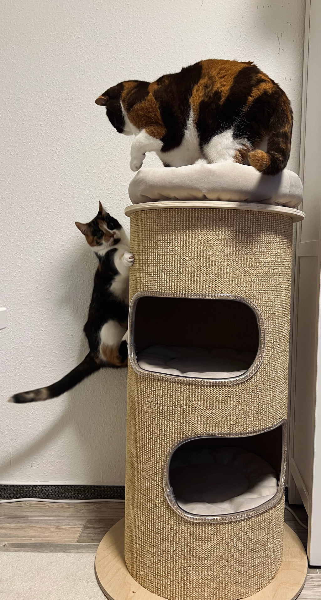 The retro bin from PetFun