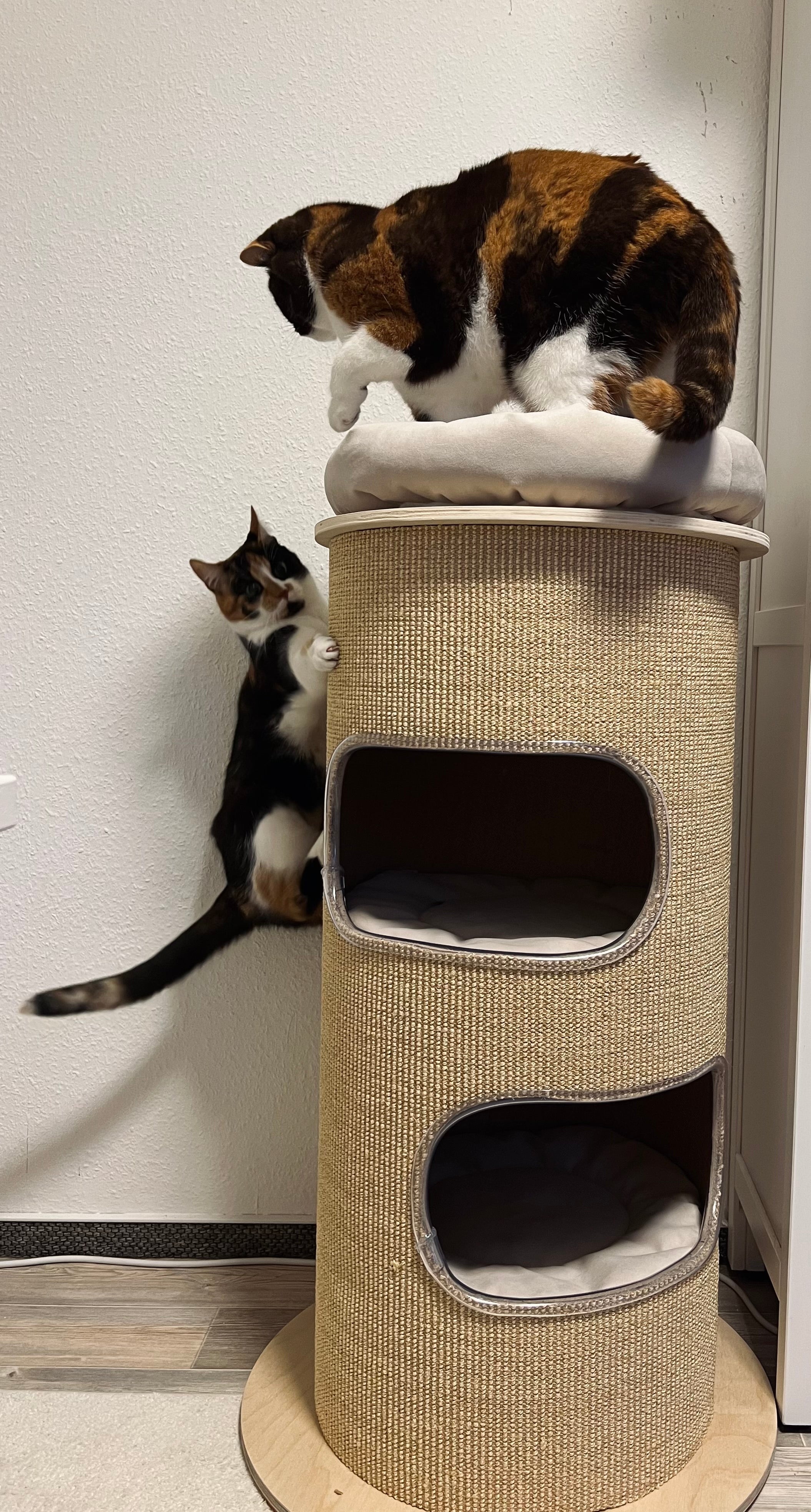 The retro bin from PetFun