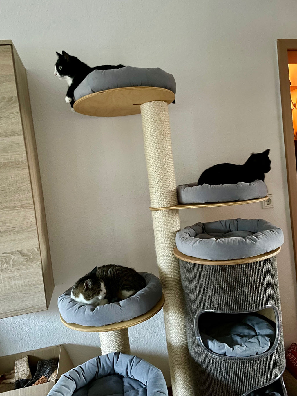 Kratzbaum Inga von PetFun