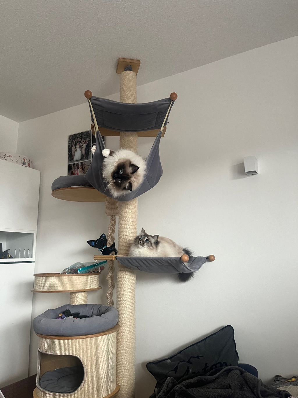 Deckenkratzbaum Janet von PetFun