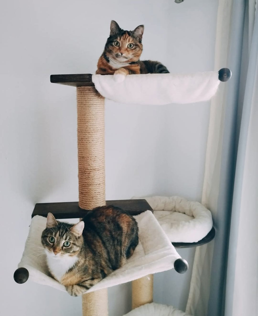 Kratzbaum Joy von PetFun