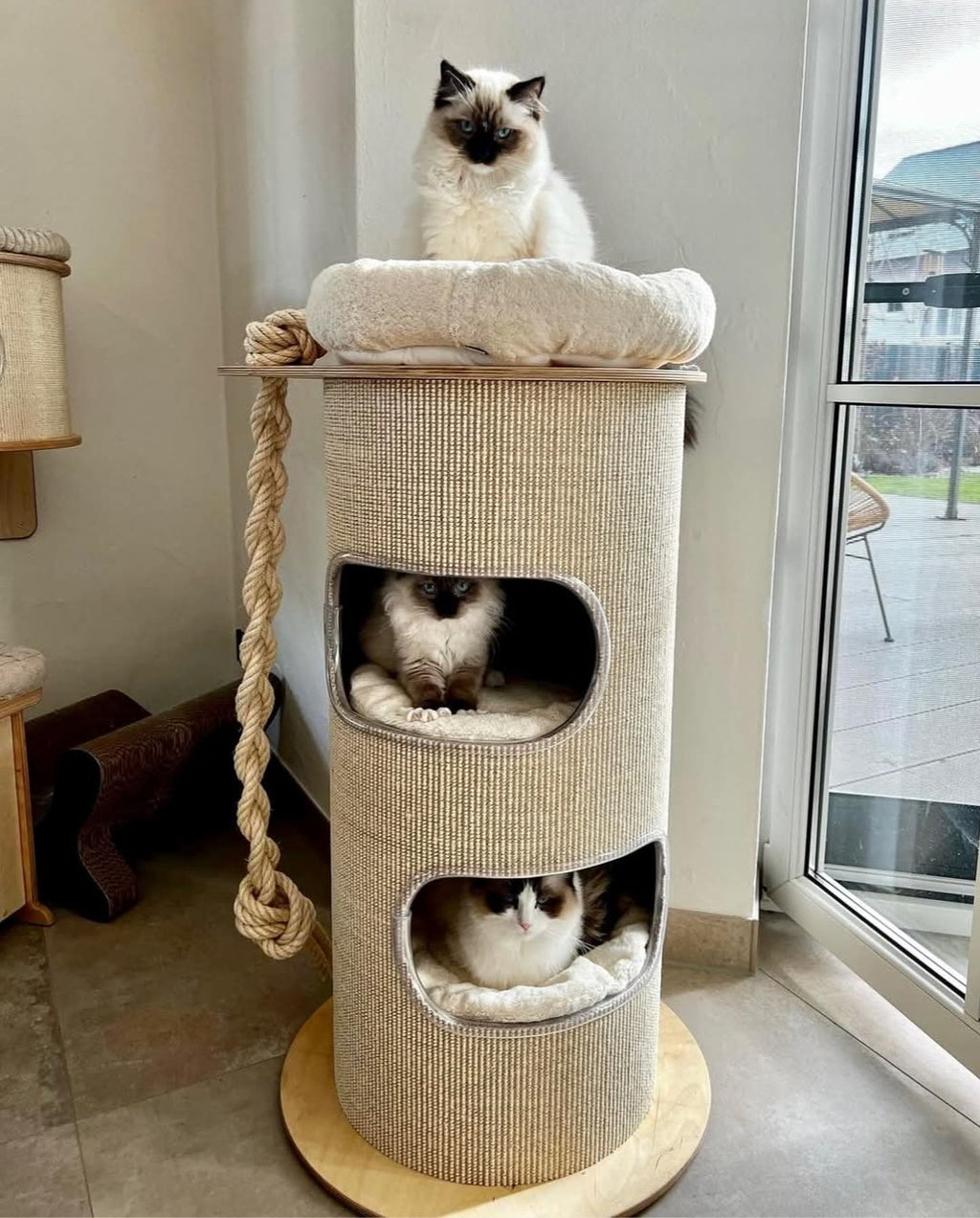 The retro bin from PetFun