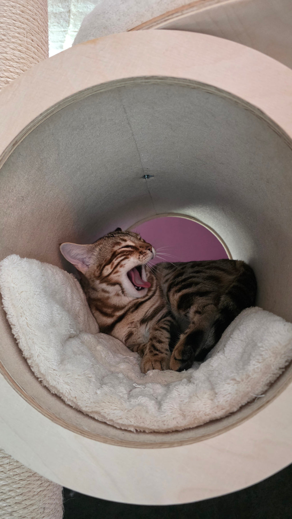 Sisalrolle – mit oder ohne Wandhalterung von PetFun
