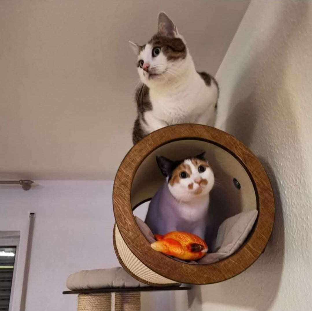 Sisalrolle – mit oder ohne Wandhalterung von PetFun