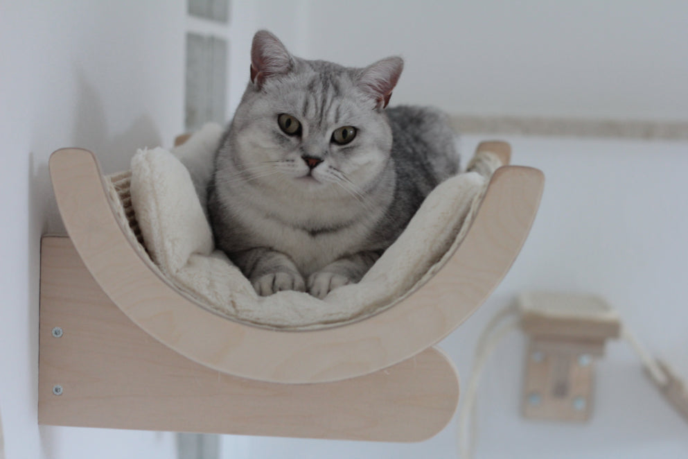 Sisalschale mit Wandhalterung von PetFun