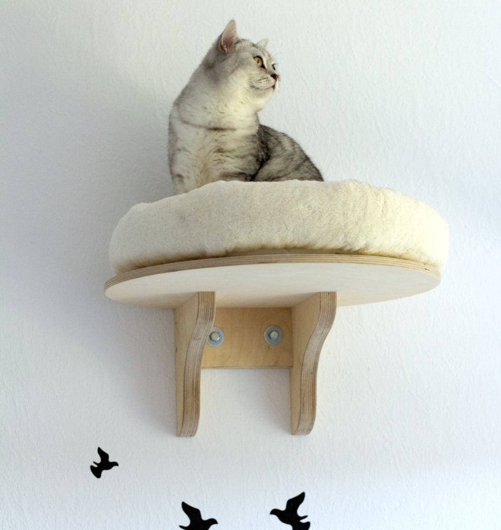 PetFun wall bed for cats