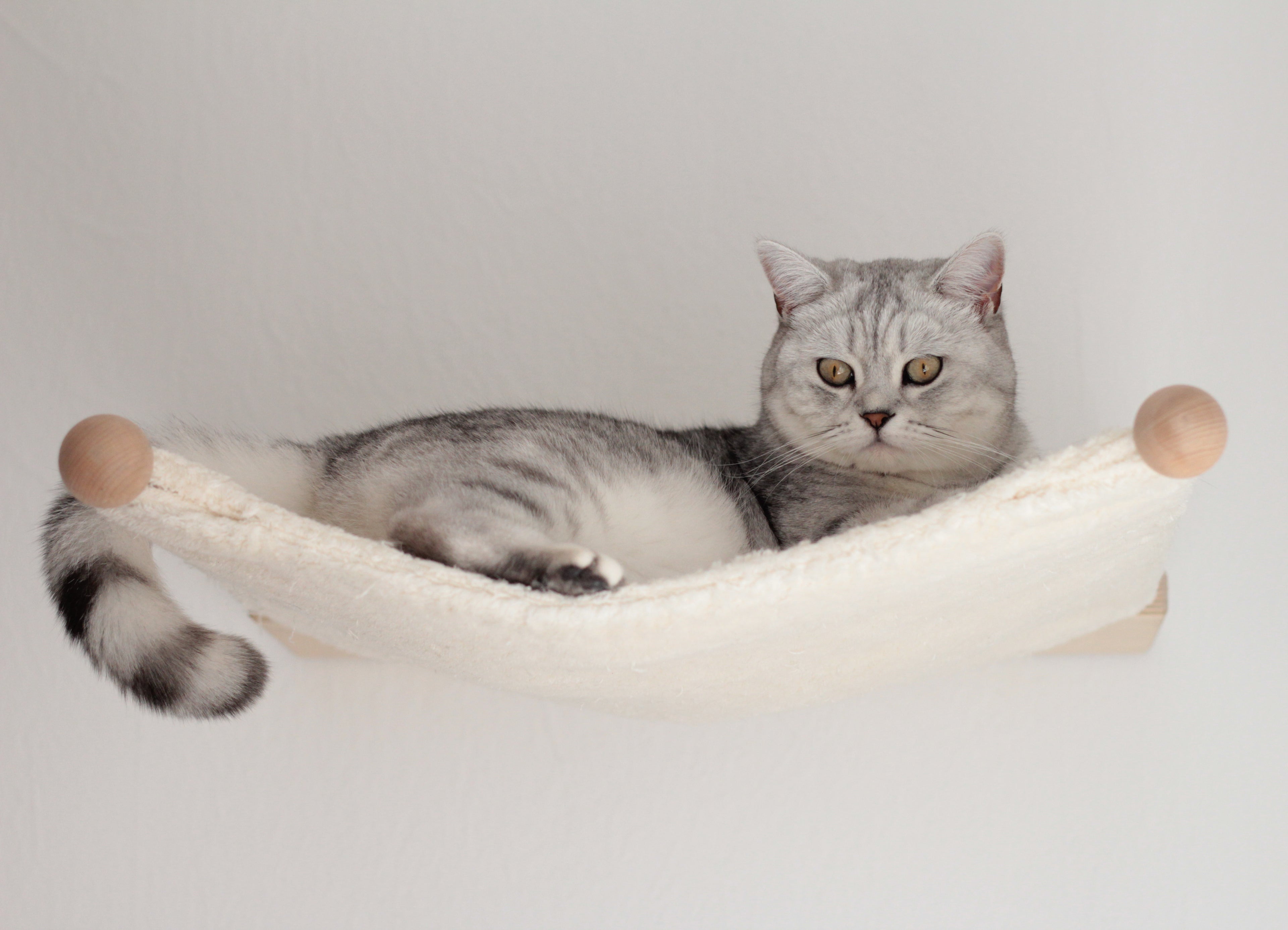 The PetFun wall-mounted cat hammock