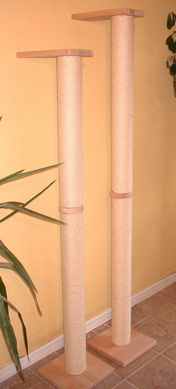 Der Wandkratzbaum Sandy von PetFun