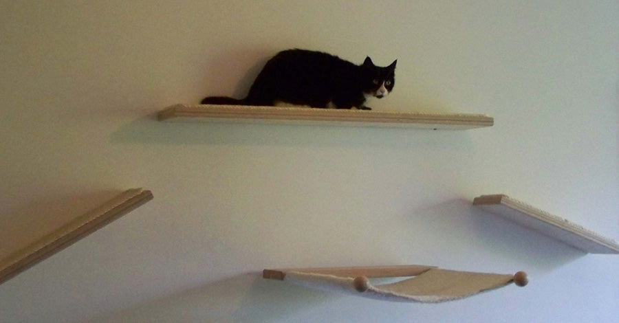 Laufsteg für Katzen von PetFun
