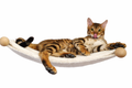The PetFun wall-mounted cat hammock