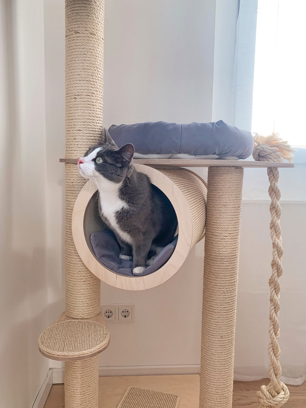 Kratzbaum Emma von PetFun