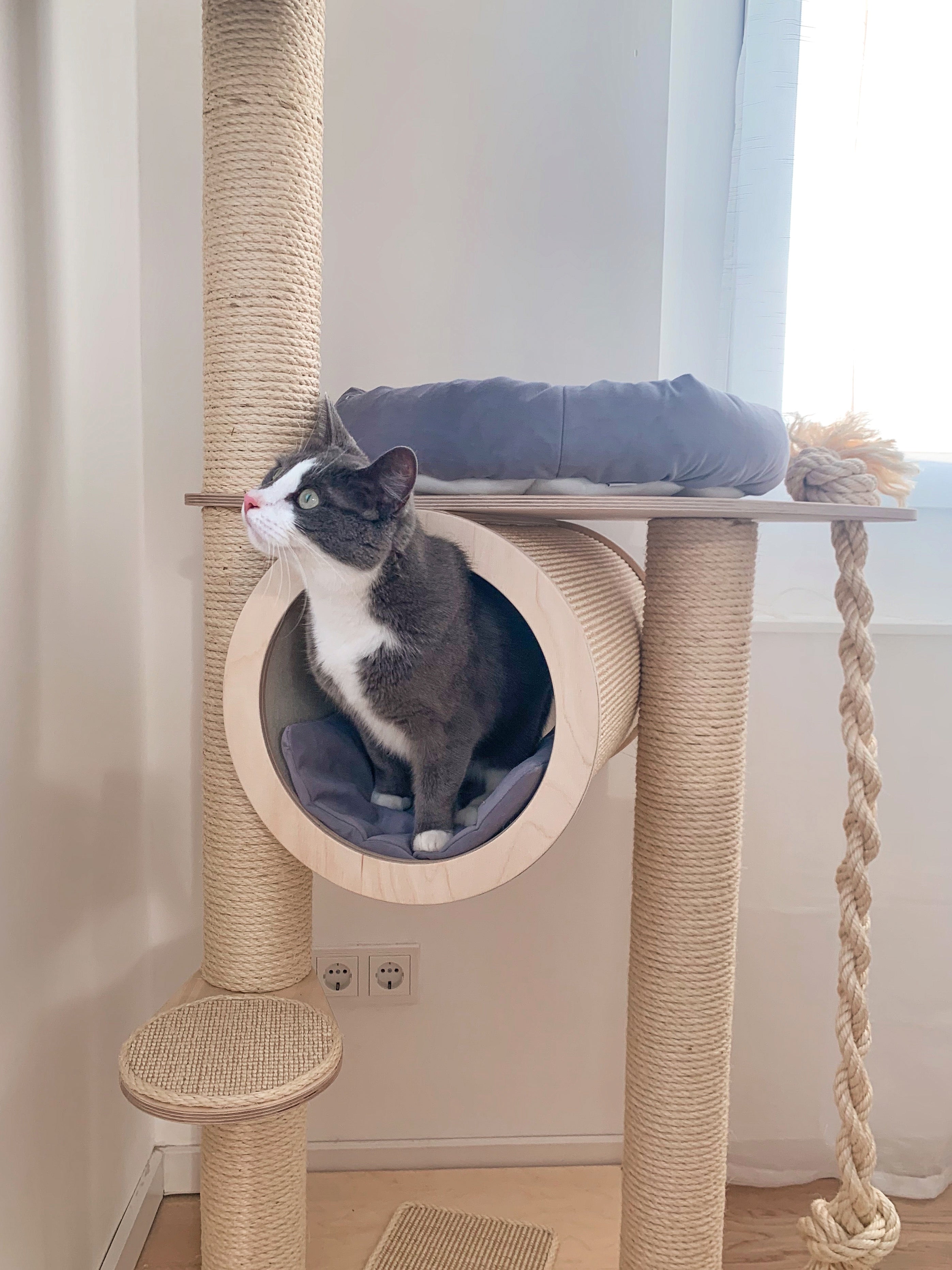 Kratzbaum Emma von PetFun