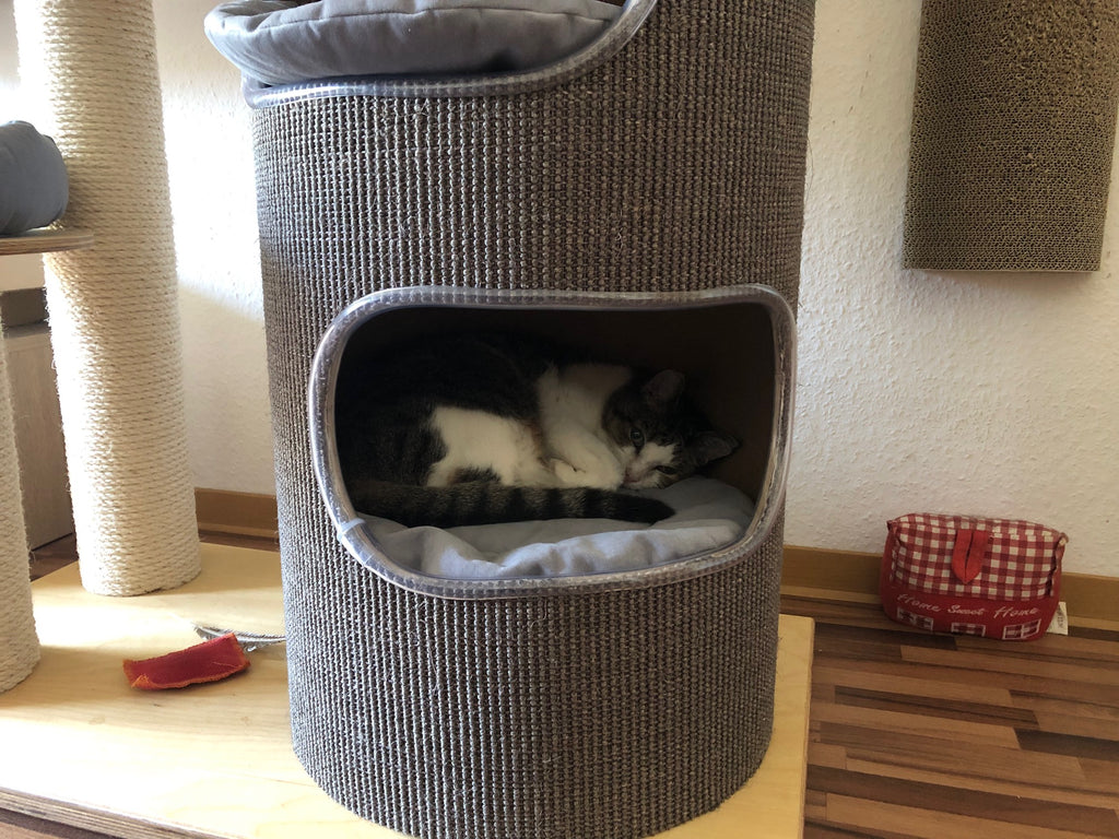 Kratzbaum Inga von PetFun
