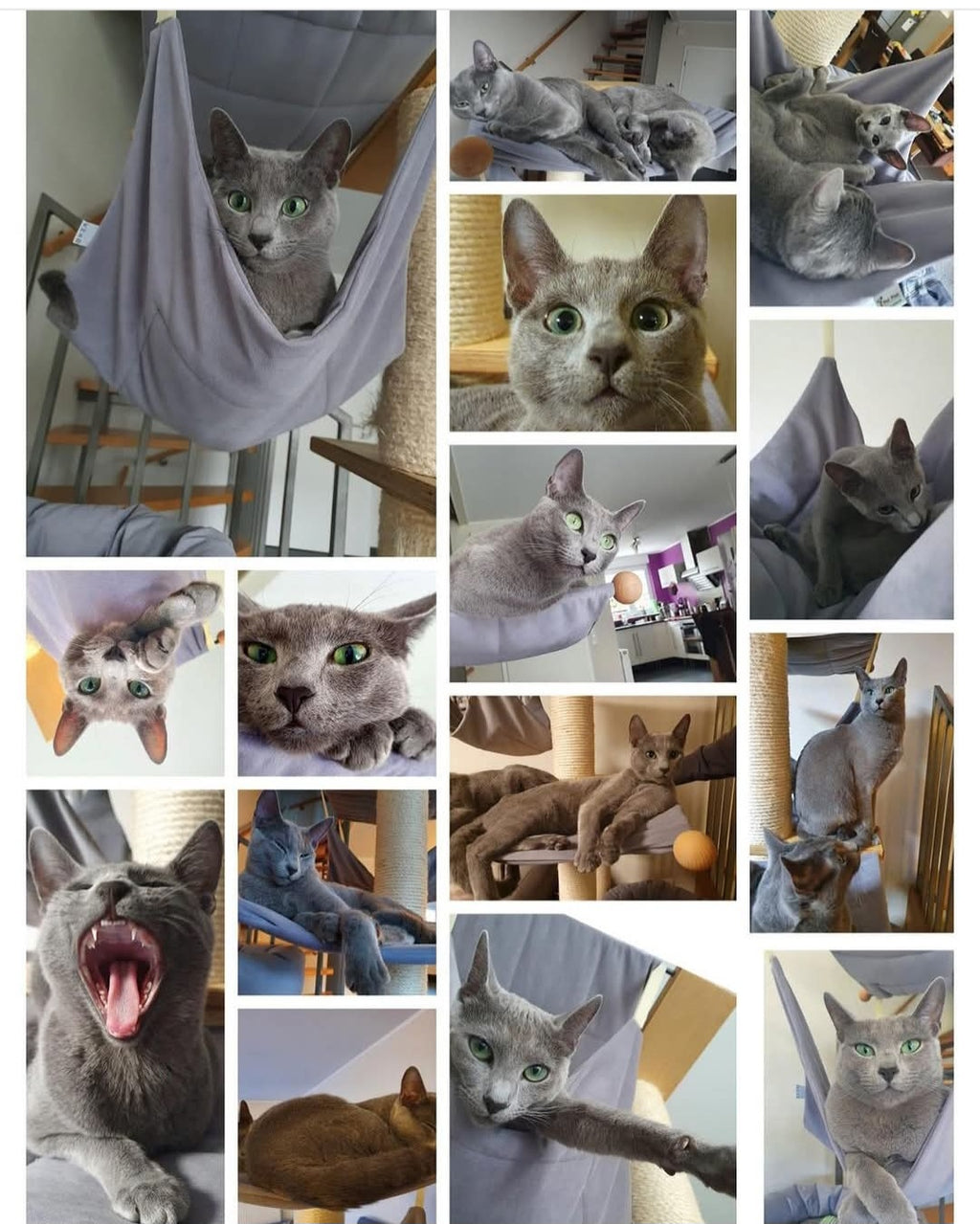 Unterhängematte für Katzen von PetFun