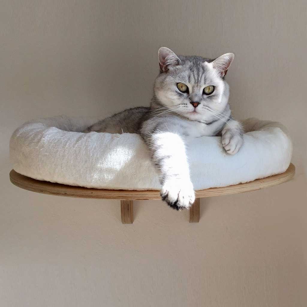 PetFun wall bed for cats