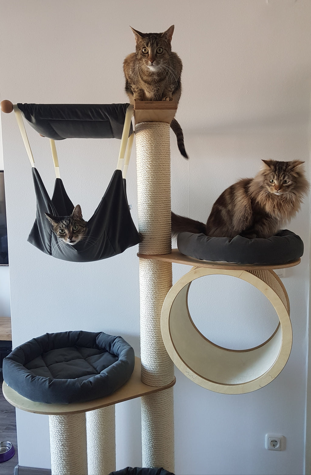 Kratzbaum Uschi von PetFun