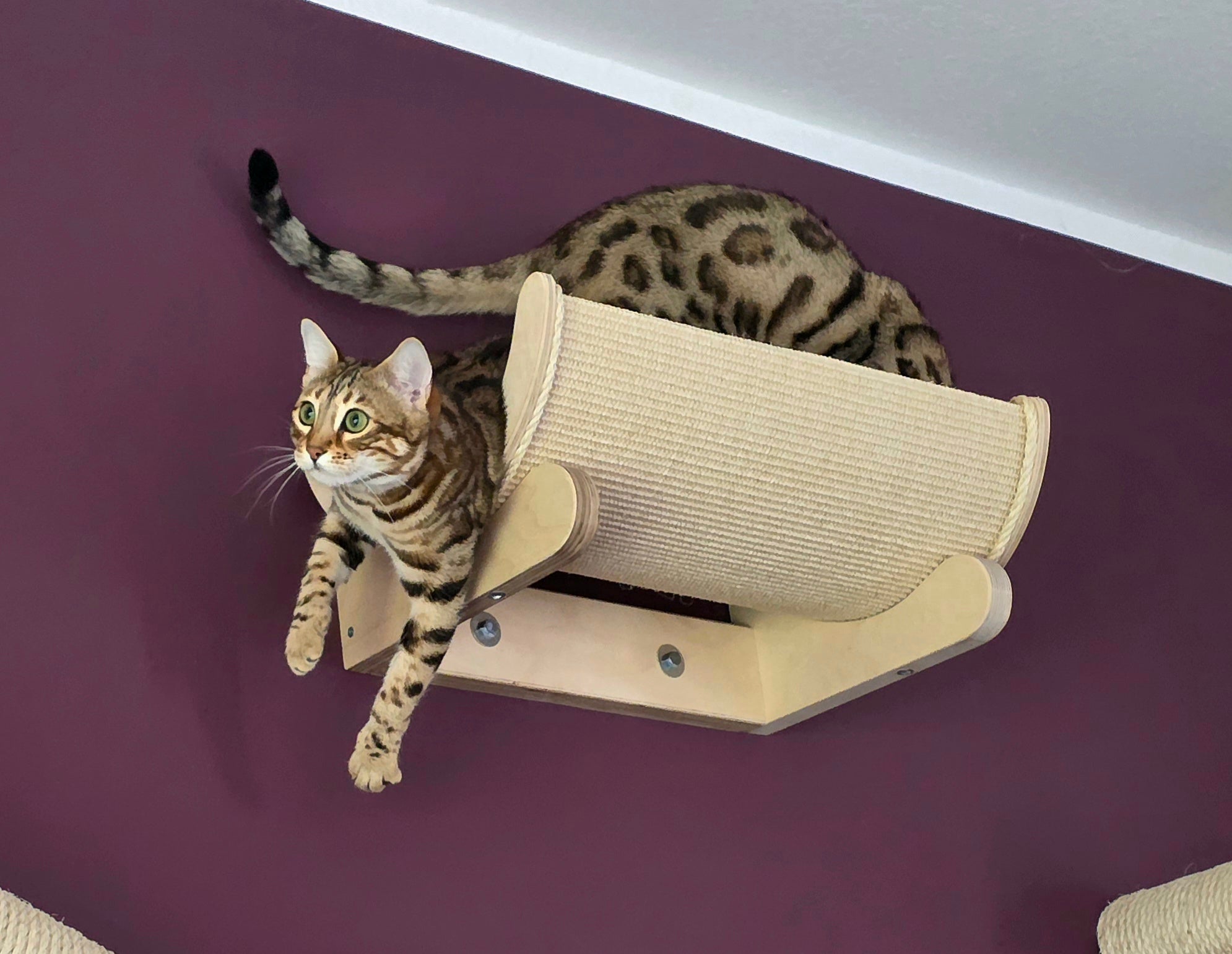 Sisalschale mit Wandhalterung von PetFun